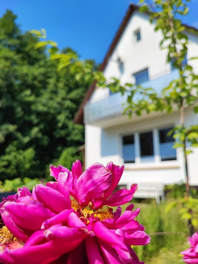 Vila Muhrbach Weier Exteriér fotografie